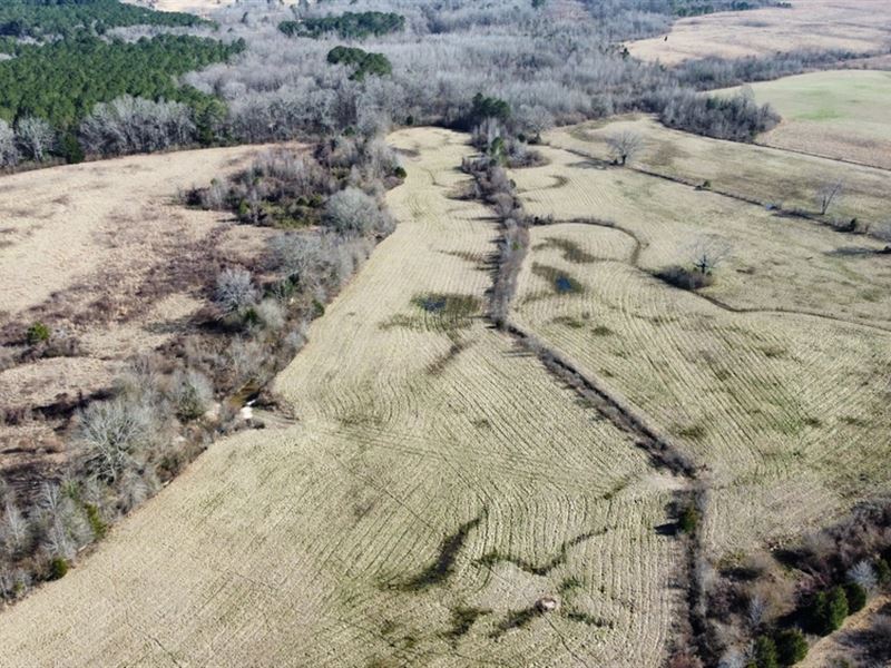 106 Acres in Attala County, MS : Sallis : Attala County : Mississippi