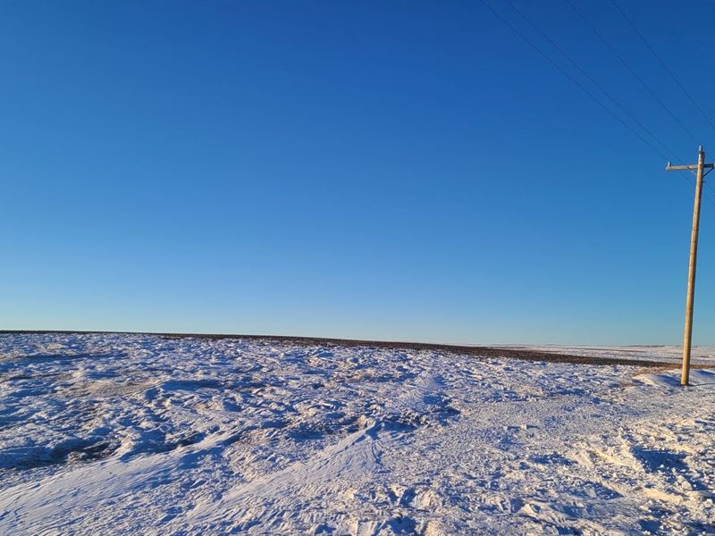 McLeod Dryland, Crp : Bushnell : Kimball County : Nebraska