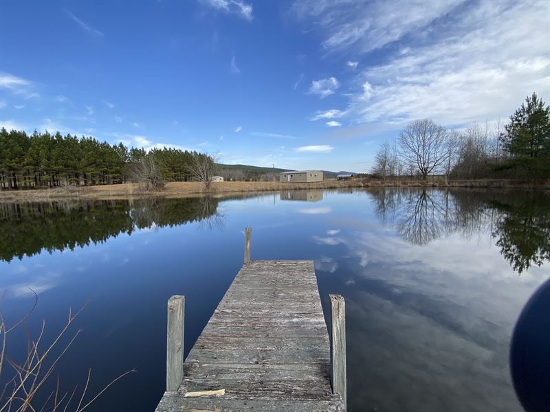 Pond Fishing, Pasture, Hunting : Ashville : Saint Clair County : Alabama