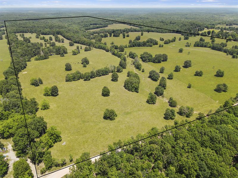 Land for Sale, Ranch, Acreage : West Plains : Oregon County : Missouri
