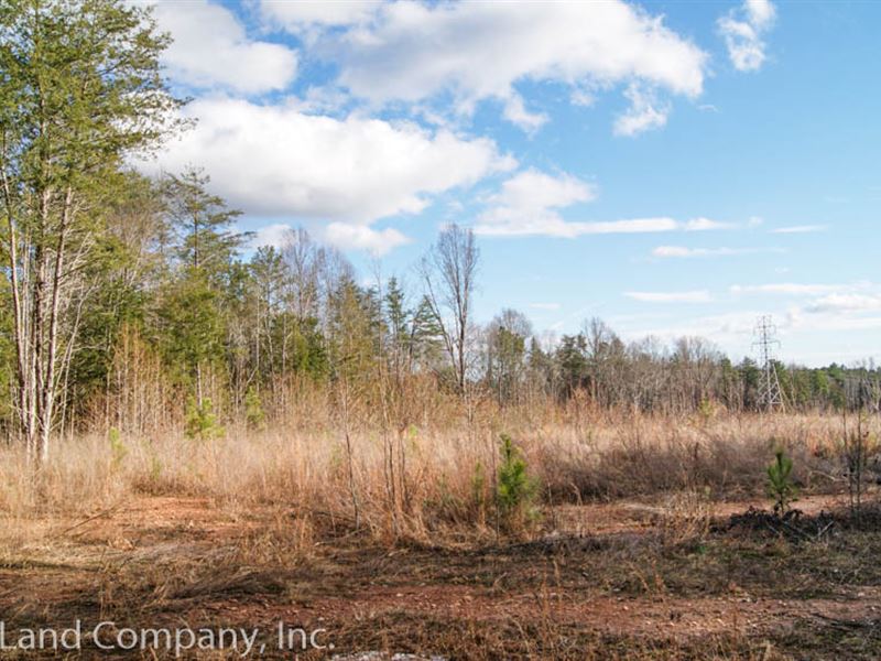 15 Acre Homesite Off Union Hwy : Gaffney : Cherokee County : South Carolina