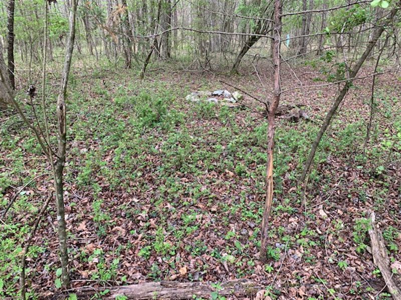 5 Wooded Acres in Bartow County, GA : Taylorsville : Bartow County : Georgia