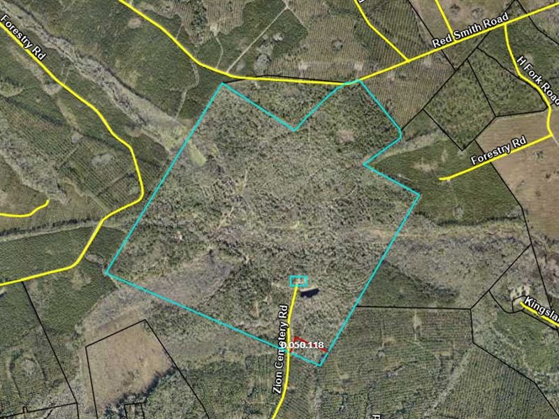 367.75 Acres Kingsland, GA : Kingsland : Camden County : Georgia