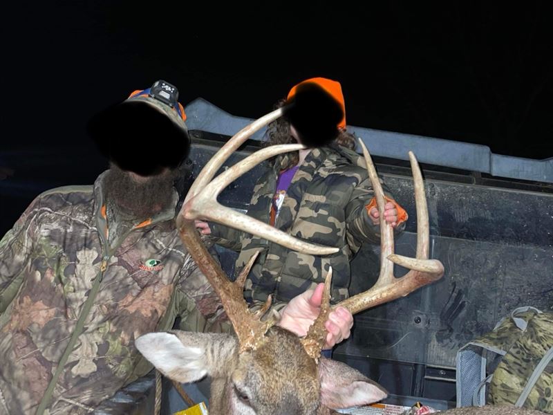 Jackson County, AL 37 ac : Woodville : Jackson County : Alabama