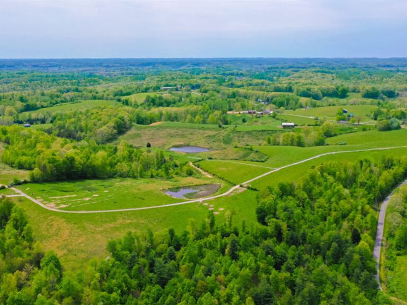 Beautiful Woods and Open Field : Annville : Jackson County : Kentucky