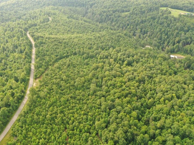 Off-Grid / Hunting Land : Whitley City : McCreary County : Kentucky