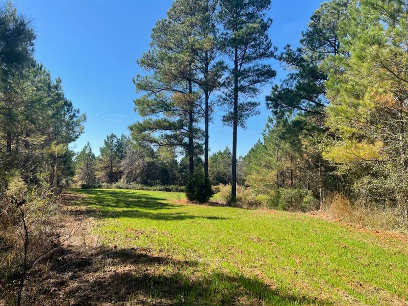 Hesterville Tract : Kosciusko : Attala County : Mississippi