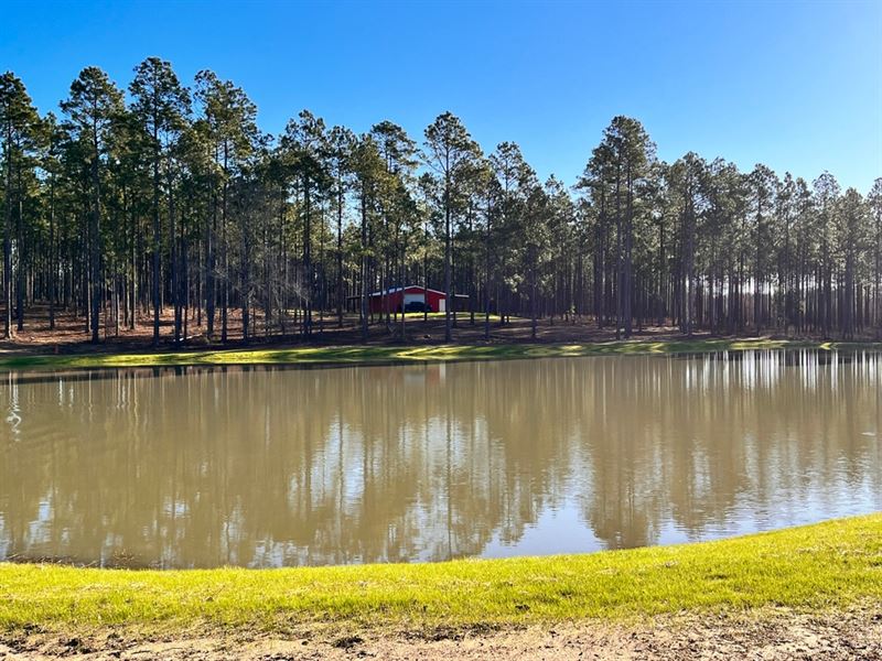 113 Acres Of Turn Key Magnificence : Adrian : Johnson County : Georgia
