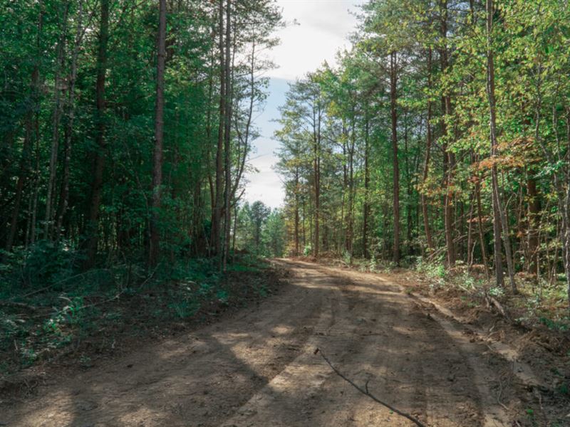 Beautiful Wooded Lot : Booneville : Owsley County : Kentucky