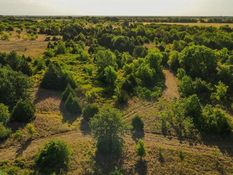 33.04 Acres in Johnson County : Cleburne : Johnson County : Texas