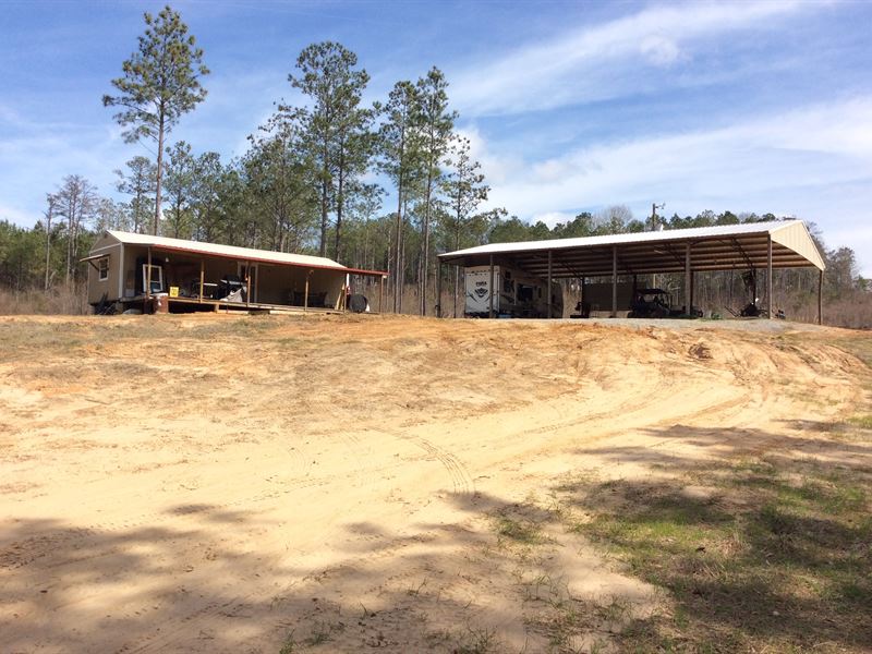 Faulk Rd Palmer Tract : Honoraville : Crenshaw County : Alabama