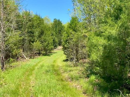 Owner Financed Land in MO : Ava : Douglas County : Missouri