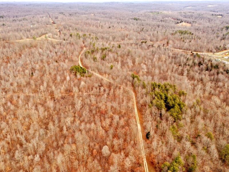 Off Grid / Hunting : Greensburg : Green County : Kentucky