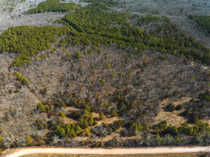 Paddlewheel Estates-Tract 1 : Roby : Texas County : Missouri