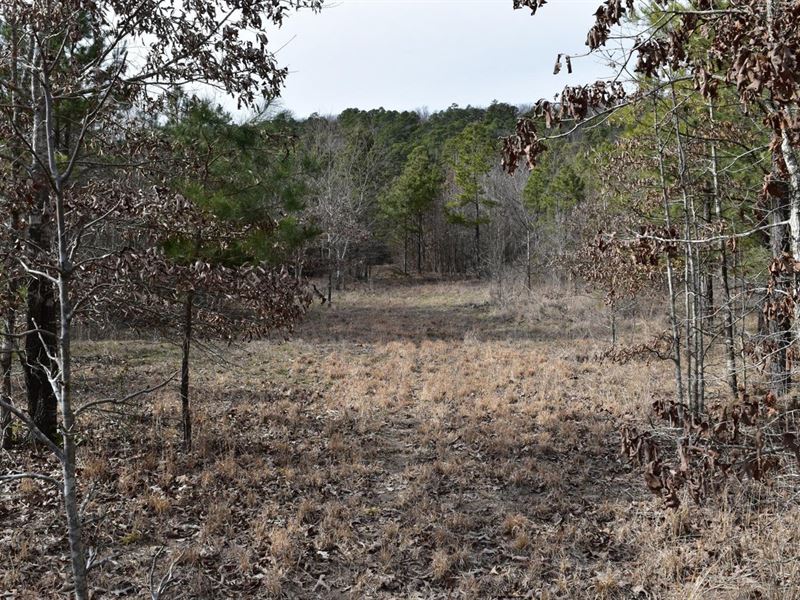 Lake Ouachita / National Forest, Farm for Sale in Arkansas, 343657