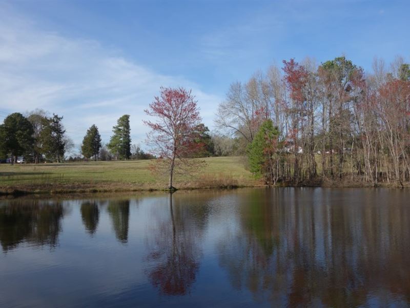 Pastures, Pond, Rural Area : Blair : Fairfield County : South Carolina