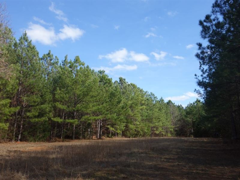 Timber, Hunting, Creek : Blair : Fairfield County : South Carolina