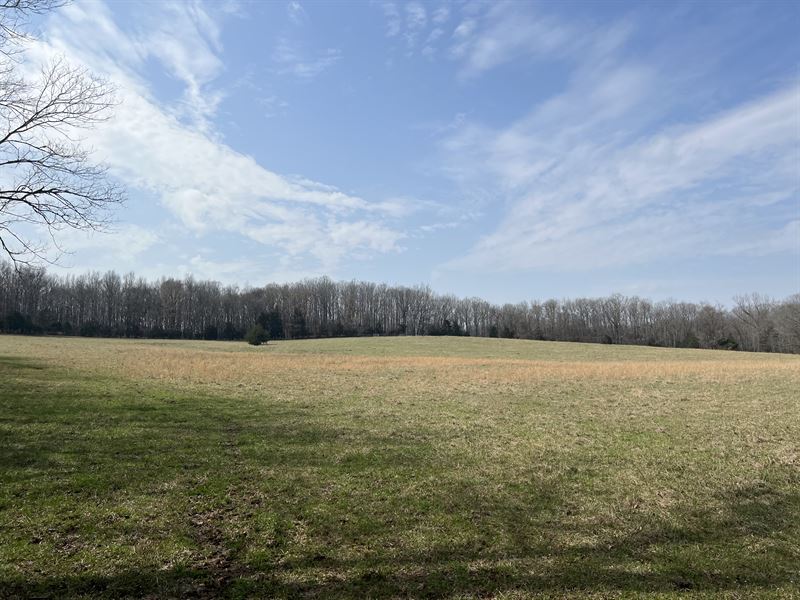 Calhoun Falls Farm : Caklhoun Falls : Abbeville County : South Carolina