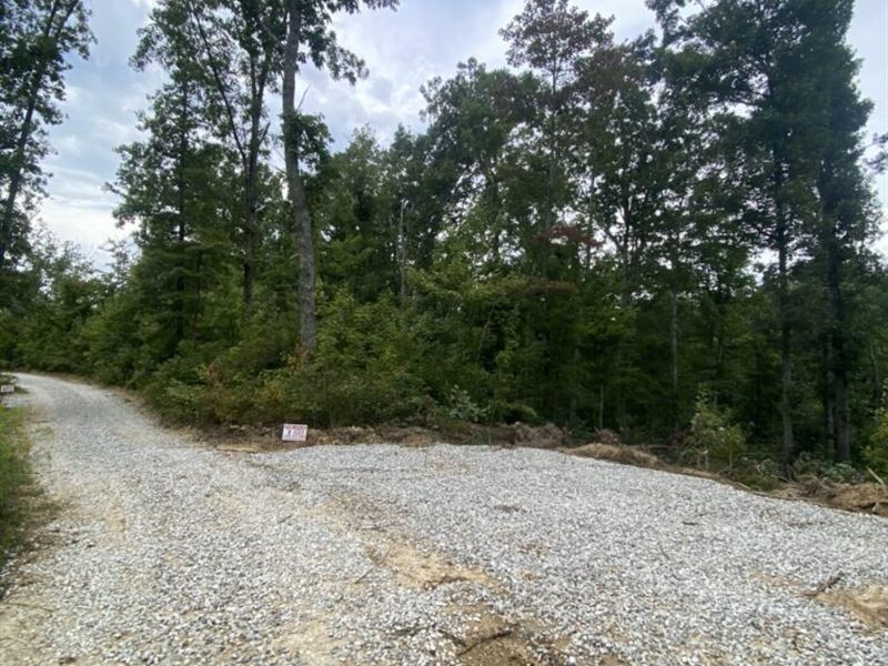 Off Grid Lots : Mount Sterling : Montgomery County : Kentucky