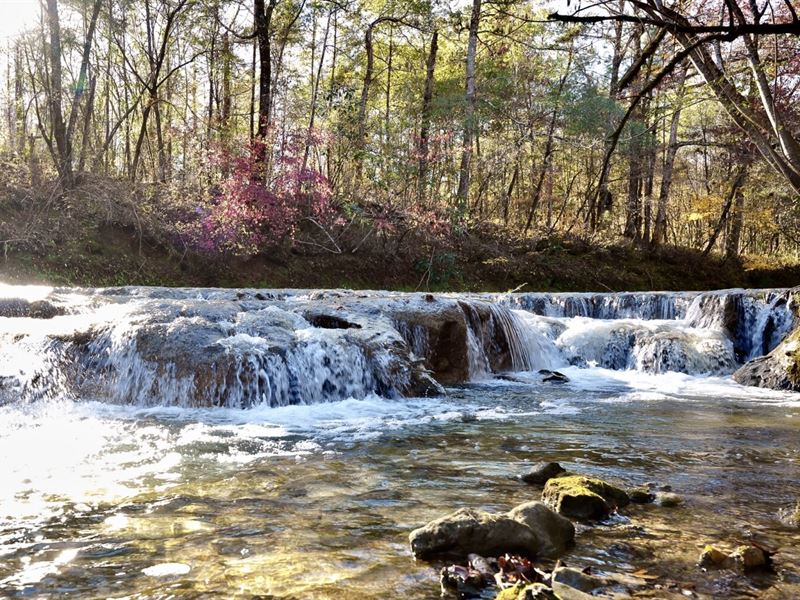 Divisible Suggsville Cedar Creek : Suggsville : Clarke County : Alabama