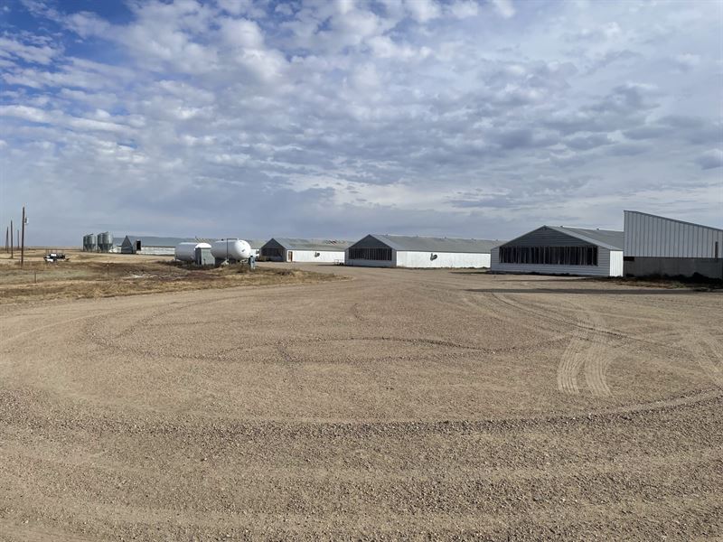 5000 Head Sow Unit for Sale : Las Animas : Bent County : Colorado