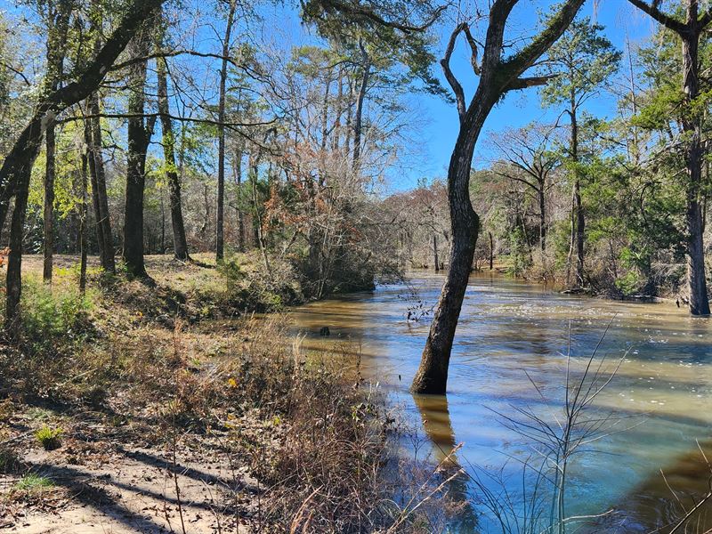 Muckalee Bluff : Leesburg : Lee County : Georgia