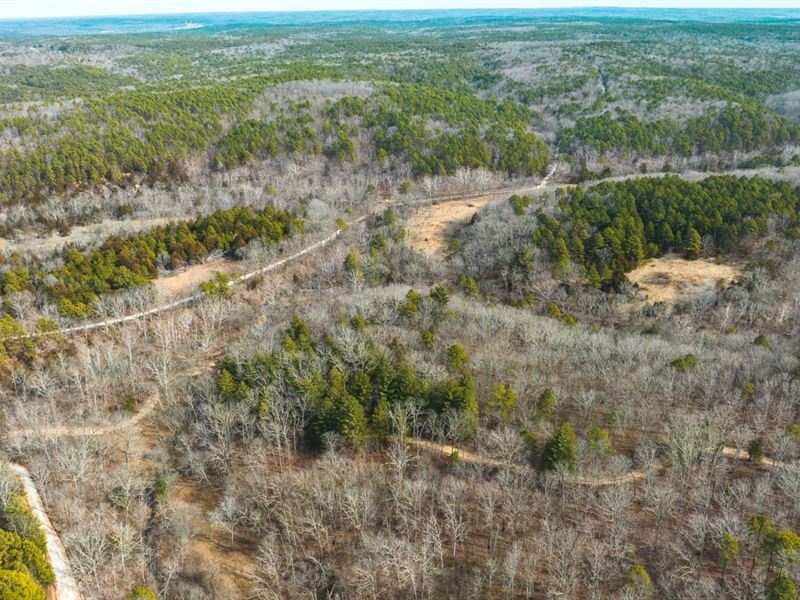 Paddlewheel Springs-Tract 12B : Roby : Texas County : Missouri