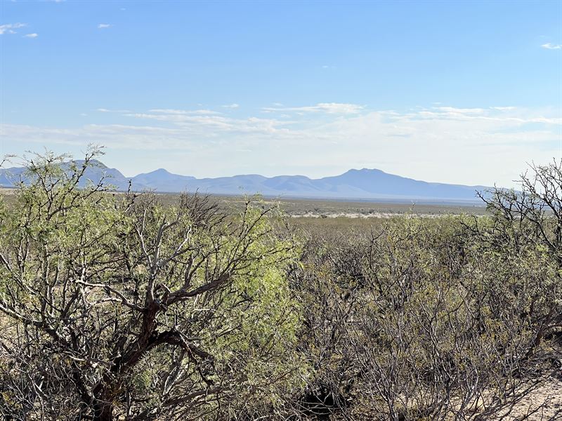 Dollar Down Deal of The Day Dude : Hudspeth : Hudspeth County : Texas