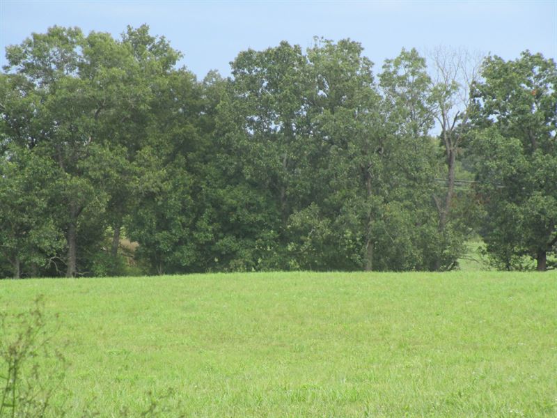 Land for Sale in Missouri : Summersville : Texas County : Missouri