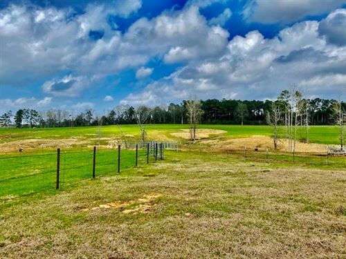 120 Acres Improved Pasture Jeff Dav : Bassfield : Jefferson Davis County : Mississippi