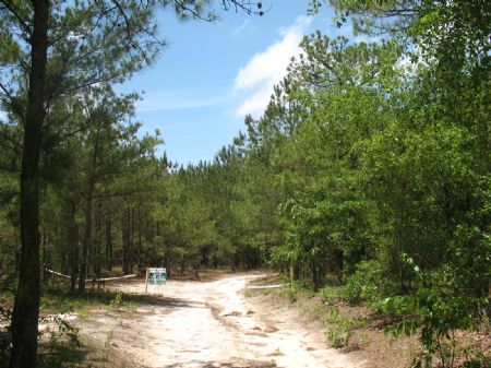 Tract 8941 : Kershaw : Kershaw County : South Carolina