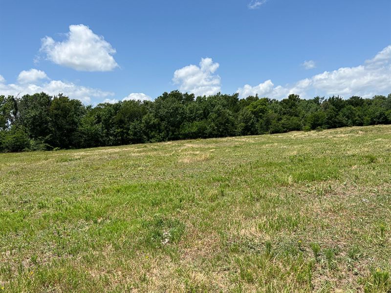 Mostly Wooded with Room To Build : Sulphur Springs : Hopkins County : Texas