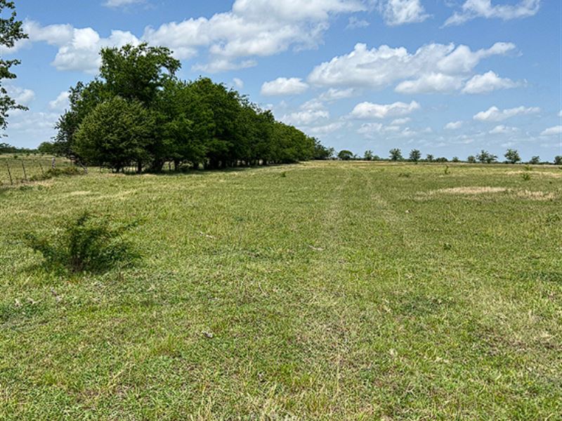 Perfect Spot for Home & Animals : Sulphur Springs : Hopkins County : Texas