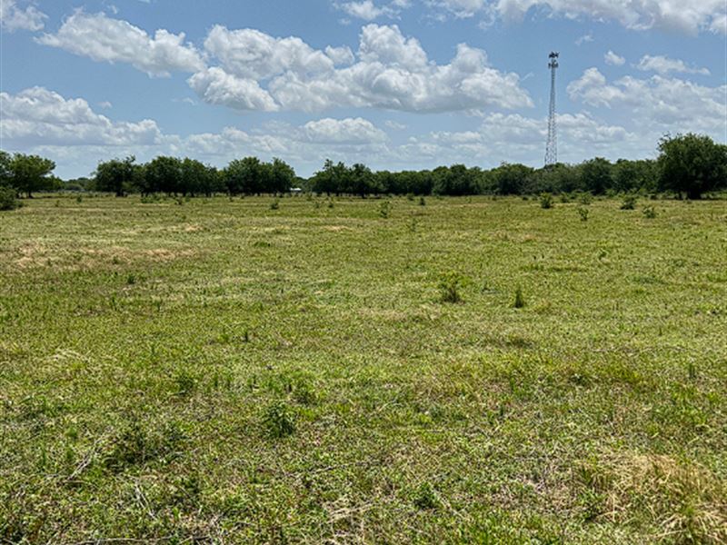 Property Where You Can Set Up Shop : Sulphur Springs : Hopkins County : Texas