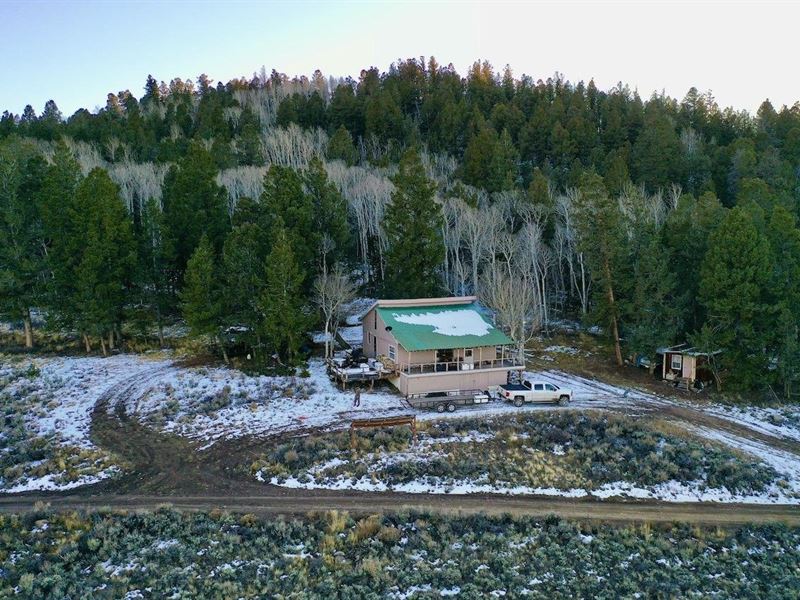Off-Grid Beaver Creek Sanctuary : Gunnison : Gunnison County : Colorado