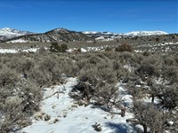 Mt. Blanca & Mt. Lindsey Call : Fort Garland : Costilla County : Colorado