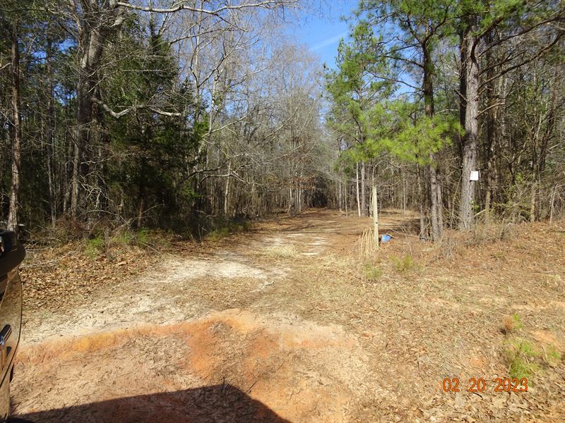 McCullough Road Tract E, 31.16 Ac : Gordon : Wilkinson County : Georgia
