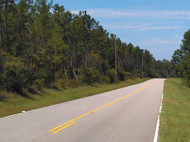 Marianna Heights 2, Farm for Sale in Florida, 344328 FARMFLIP