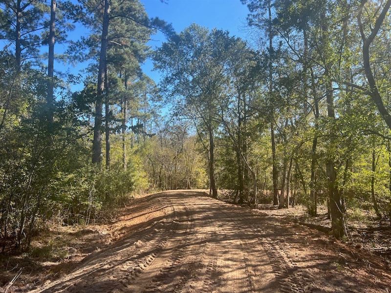Double Run Creek : Rebecca : Turner County : Georgia