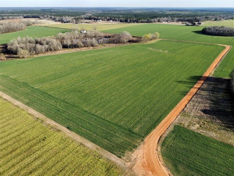 Byrd Lane Farm Investment : Atmore : Monroe County : Alabama