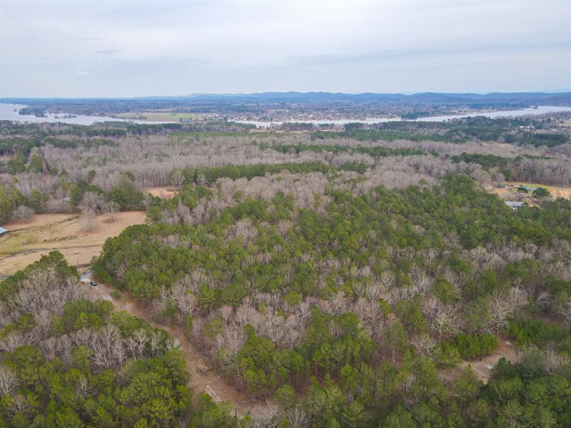 25 Acres in Etowah Co : Rainbow City : Etowah County : Alabama