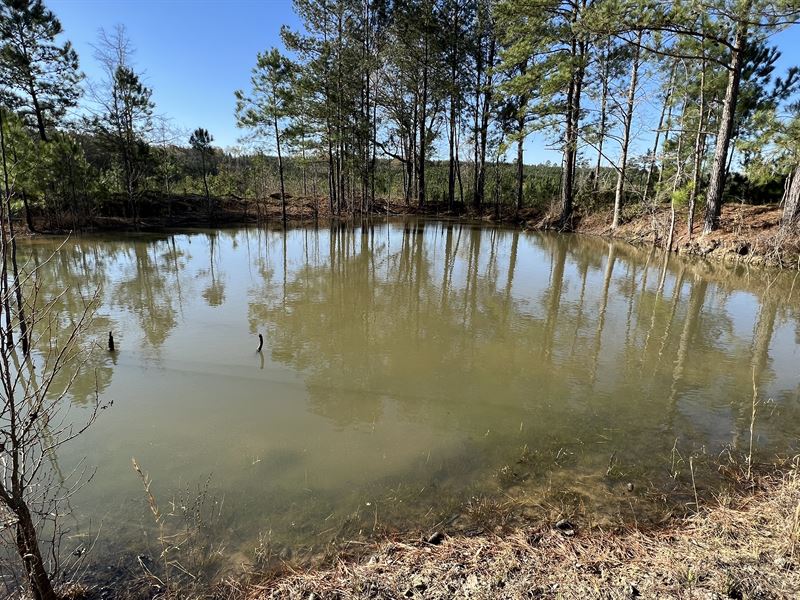 Great Tract with Pond Near Macon : Roberta : Crawford County : Georgia