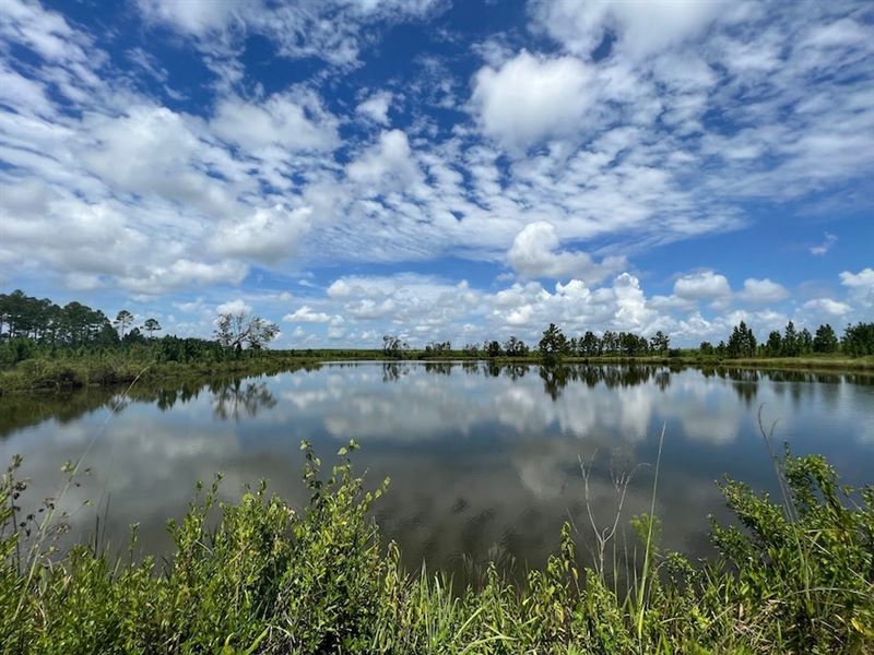 Southside Pond Tract : Ashburn : Turner County : Georgia