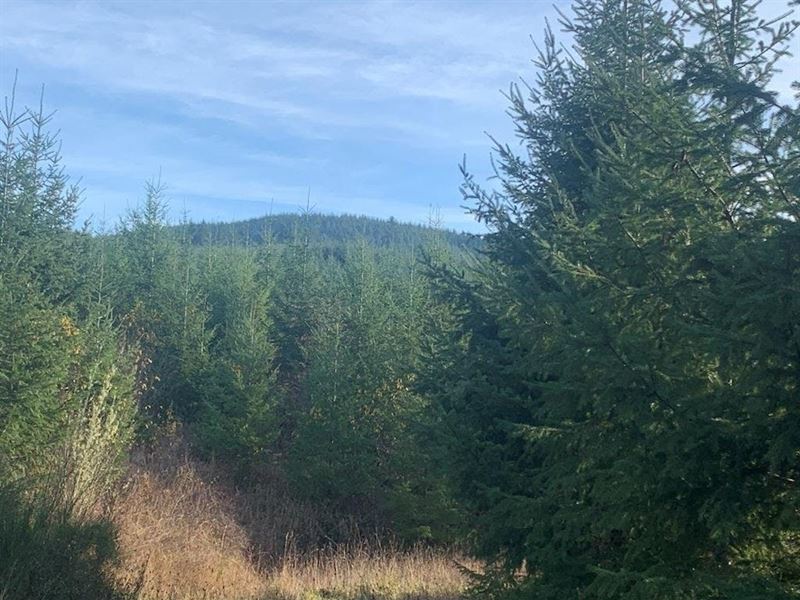 Sharewater F-2 : Acme : Lane County : Oregon