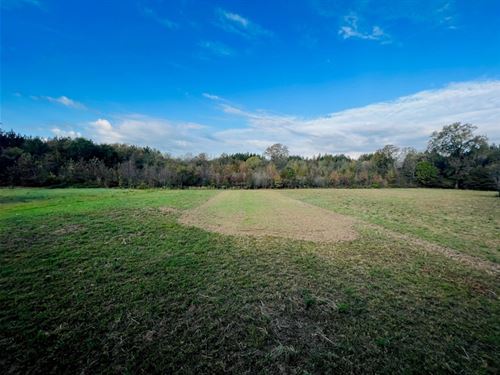 Oconee River, Buckhorn Tract : Toomsboro : Wilkinson County : Georgia
