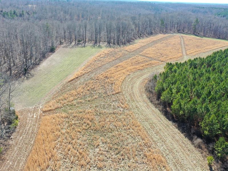 280 Acre Hunters Dream Property : Goodspring : Giles County : Tennessee