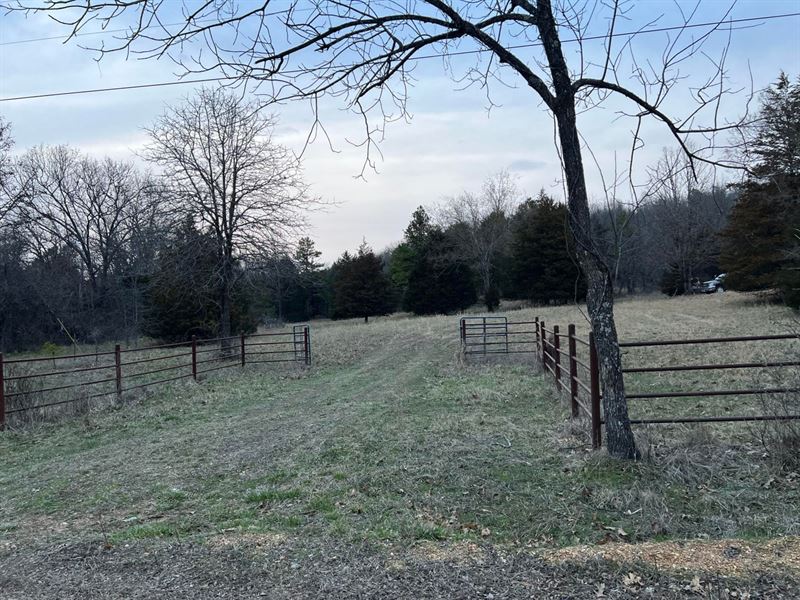Secluded Land in The Ozarks : Norwood : Douglas County : Missouri