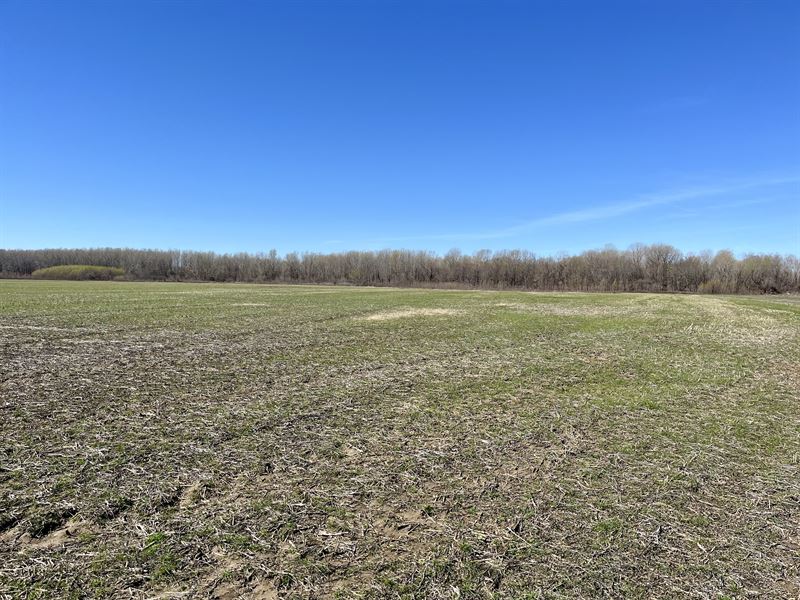 Farmland with Duck & Deer Hunting : Blytheville : Mississippi County : Arkansas