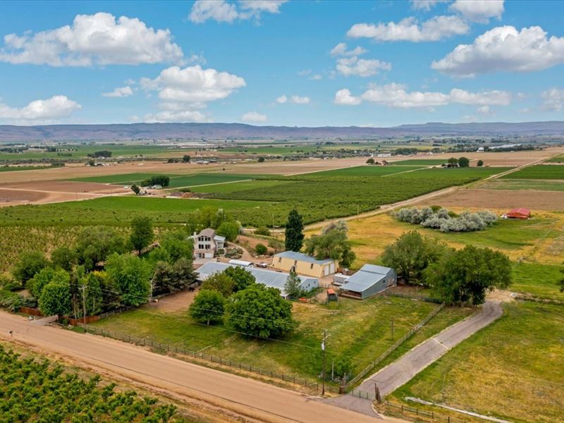 Plum Road View Property : Caldwell : Canyon County : Idaho