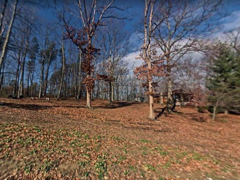 Attention All Nature Enthusiasts : Newport : Cocke County : Tennessee